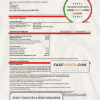 USA Michigan DTE Energy utility bill template in Word and PDF format