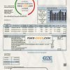 USA Minnesota East Central Energy utility bill template in Word and PDF (.doc and .pdf) format