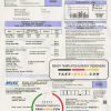USA Minnesota Valley Electric Cooperative (MVEC) utility bill template in Word and PDF format