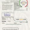 USA Mon Power utility bill template in Word and PDF format
