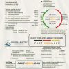 USA Montana Missoula Electric Cooperative electricity utility bill template in Word and PDF format