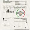 USA Nevada Big Bend Water District utility bill template in Word and PDF format