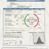 USA Nevada Southwest gas Corporation utility bill template in Word and PDF format