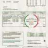 USA New Hampshire Electric Co-op electricity utility bill template in Word and PDF format