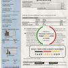 USA New York National Grid utility bill template in Word and PDF format