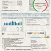 USA North Carolina Brunswick Electric utility bill template in Word and PDF format