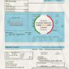 USA North Carolina City of Charlotte water utility bill template in Word and PDF format