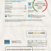 USA Ohio Hospital For Special Surgery utility bill template in Word and PDF format