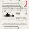 USA Ohio Village of Jackson Center Public Power utility bill template in Word and PDF format
