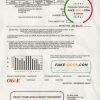 USA Oklahoma OGE Energy utility bill template in Word and PDF format