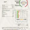USA Ontario Erie Thames utility bill template in Word and PDF format