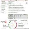 USA Ontario’s Hydro One electricity utility bill template in Word and PDF format (2 pages)