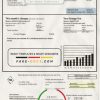 USA Oregon PGE electricity utility bill template in Word and PDF format