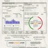USA Pennsylvania Duquesne light utility bill template in Word and PDF format