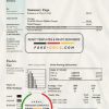 USA Pennsylvania PPL Electric utility bill template in Word and PDF format