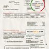 USA Rural Electric Cooperative utility bill template in Word and PDF format