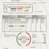 USA San Francisco Xincube utility bill template in Word and PDF format