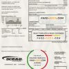 USA South Carolina SCE&G electricity utility bill template in Word and PDF format