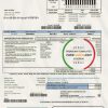USA South Carolina Santee Electric Cooperative (SEC) proof of address utility bill template in Word and PDF format