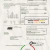USA South Dakota Black Hills Energy utility bill template in Word and PDF format