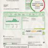 USA South Dakota Southeastern Electric utility bill template in Word and PDF format