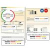USA Southern California EDISON utility bill, Word and PDF template, 8 pages