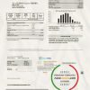 USA Spire gas utility bill template in Word and PDF format