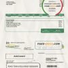 USA Steuben Country REMC utility bill template in Word and PDF format