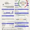 USA Texas Carrollton utility bill template in Word and PDF format