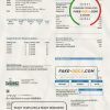 USA Texas McKinney utility bill template in Word and PDF format