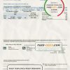 USA Texas Medina Electric utility bill template in Word and PDF format