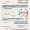 USA Texas San Patricio Electric Corporative utility bill template in Word and PDF (.doc and .pdf) format
