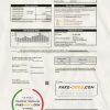 USA Texas TXU Energy utility bill template in Word and PDF format