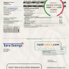 USA Texas Tara Energy utility bill template in Word and PDF format