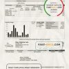 USA The City of Wichita Falls Utility bill template in Word and PDF format