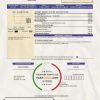 USA Think Energy utility bill template in Word and PDF format