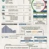 USA Tyler Technologies utility bill template in Word and PDF format