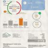 USA Vermont Green Mountain Power electricity utility bill in Word and PDF format