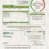 USA Virginia HCSA utility bill template in Word and PDF format