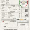 USA WPS utility bill template in Word and PDF format