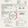 USA Washington Chelan County PUD utility bill template in Word and PDF format