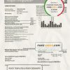 USA Washington Pepco utility bill template in Word and PDF format
