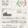 USA Washington Water Service utility bill template in Word and PDF format