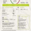 United Kingdom Flow Energy utility bill template in Word and PDF format