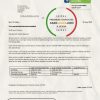 United Kingdom SSE Energy utility bill template in Word and PDF format, version 1