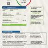 United Kingdom SSE Energy utility bill template in Word and PDF format, version 3
