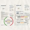 United Kingdom Standard Life utility bill template in Word and PDF format, 7 pages