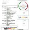 Finland Nordea bank statement template in Word and PDF format