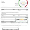 France Citibank bank statement template in .xls and .pdf file format