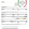 France Citibank bank statement template in Word and PDF format